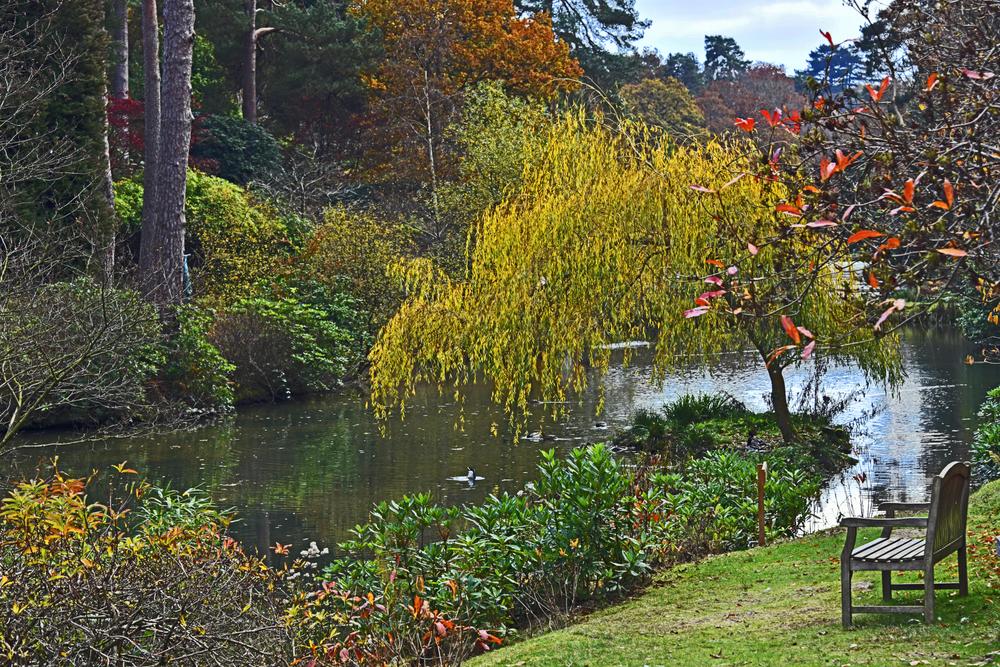 Leonardslee Gardens