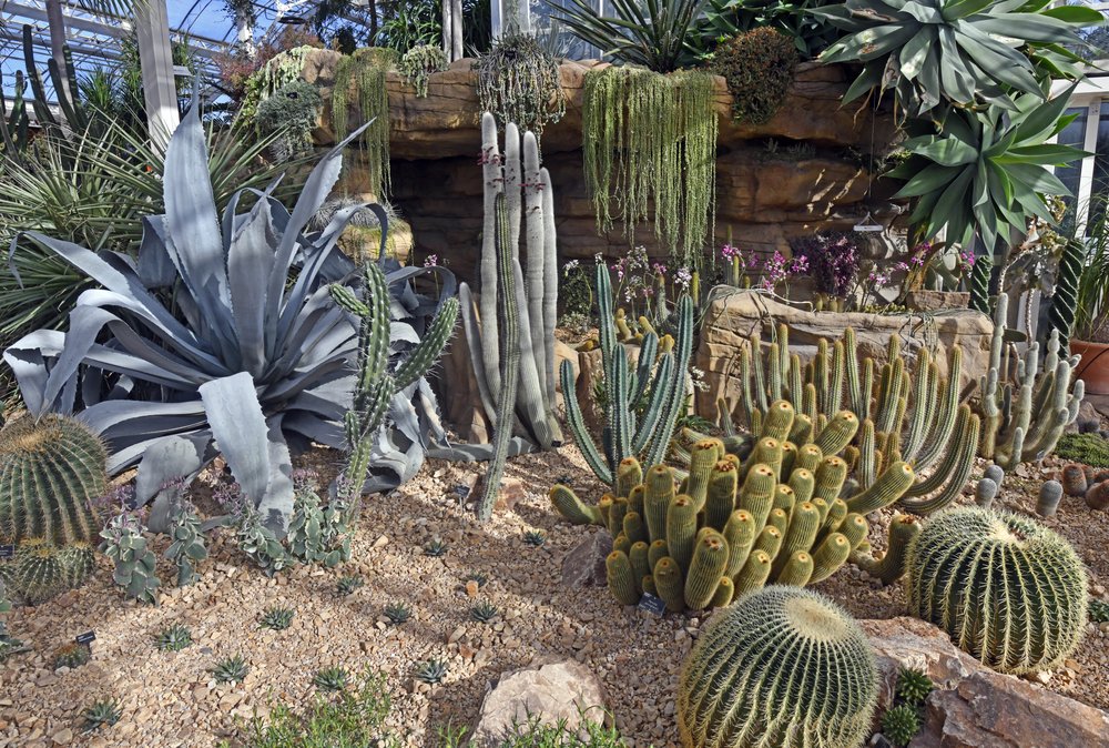 RHS Garden at Wisley