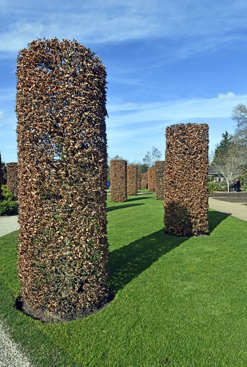 The garden at RHS Wisley