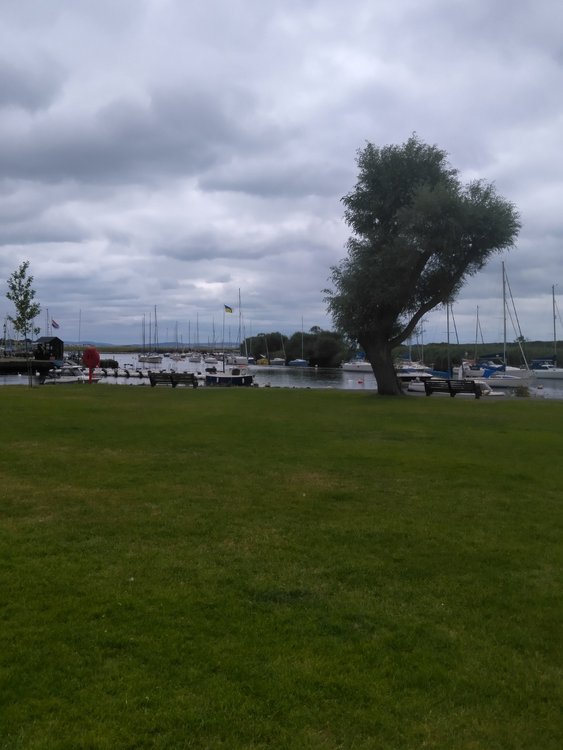 The river in Christchurch from Town Quay