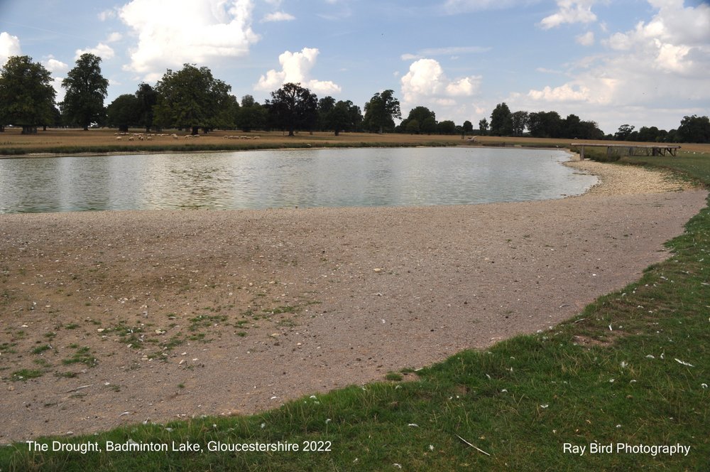 The Drought, Badminton Lake, Gloucestershire 2022