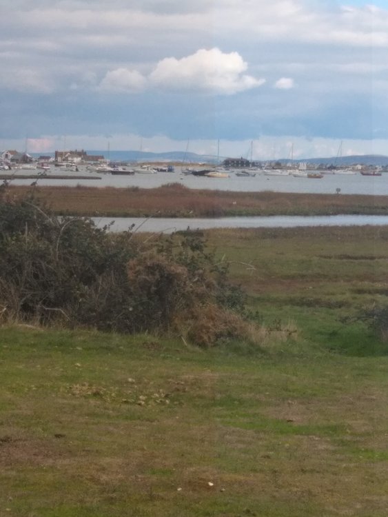 View from Stanpit Marsh, Christchurch