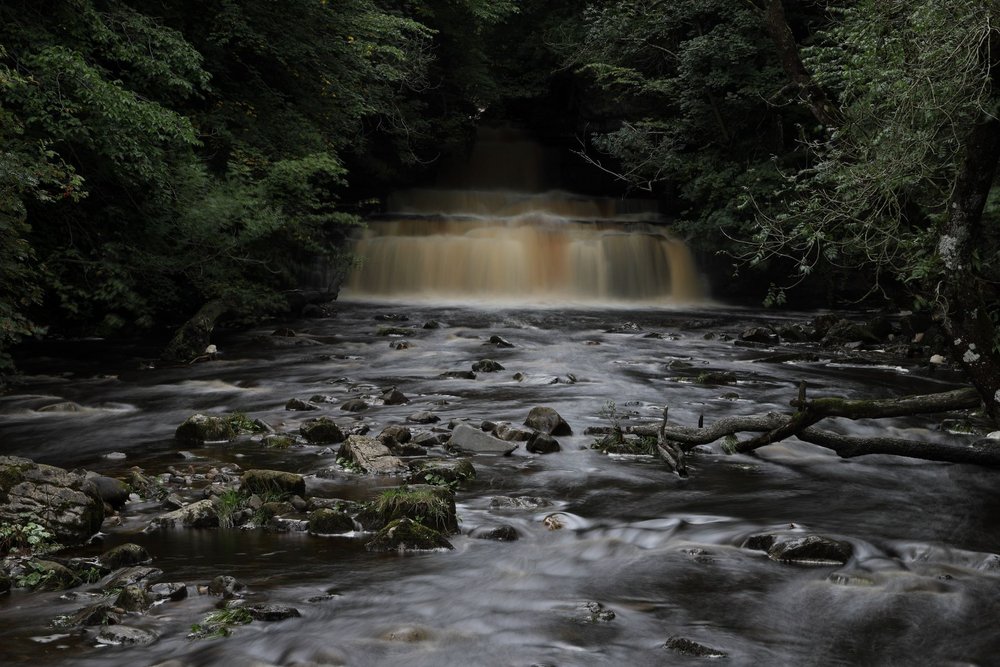 Cotter Force