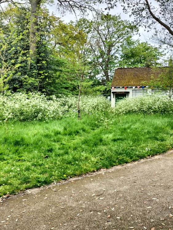 Wonderful lush vegetation in Christchurch