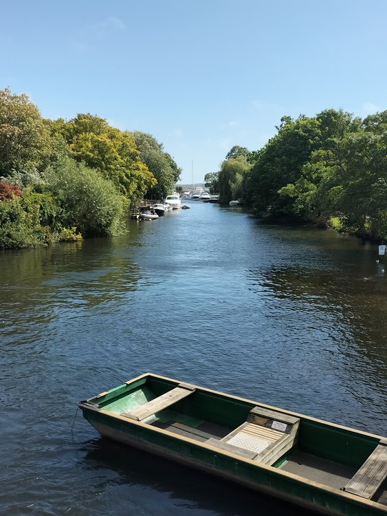 Picturesque river scene in Christchurch