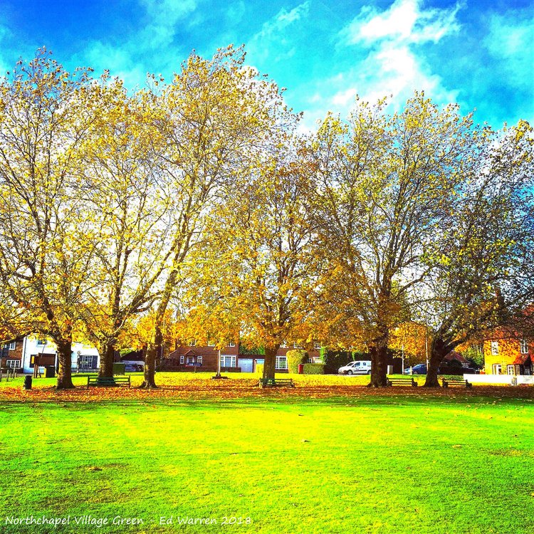 Northchapel Village Green