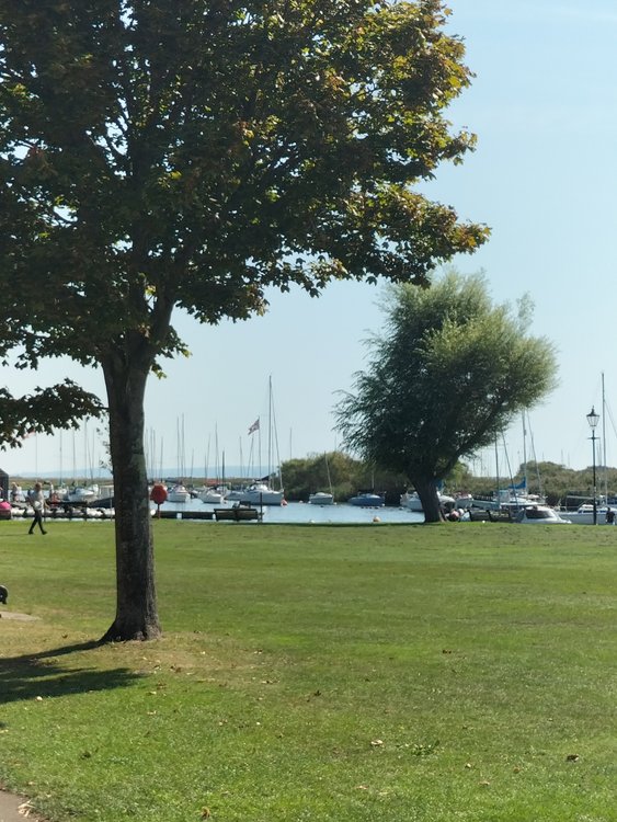 Nice view from Town Quay, Christchurch