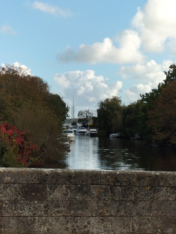 Picturesque and tranquil riverside scene in Christchurch