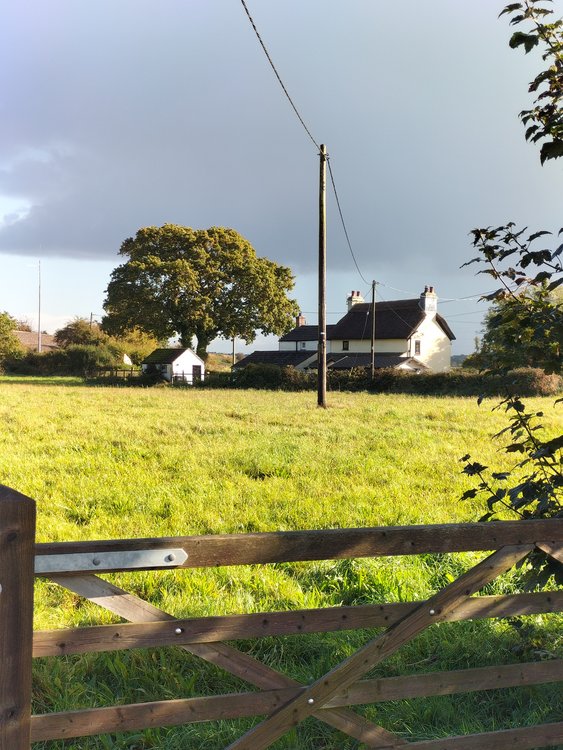 Quintessential cottage near Christchurch