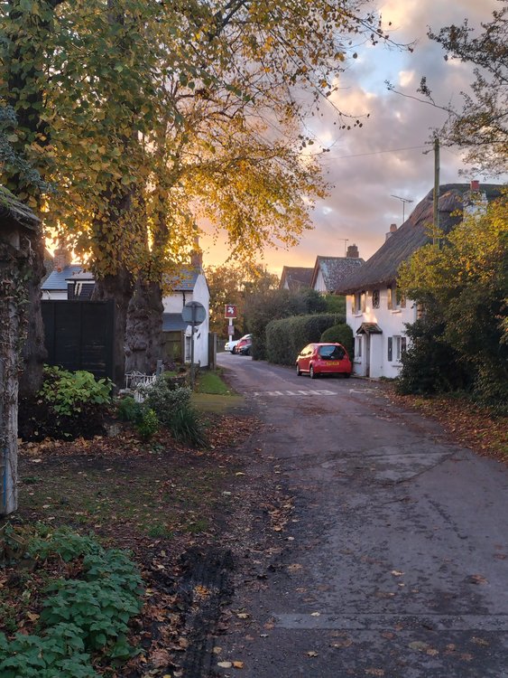 Idyllic rural scene in Burton near Christchurch