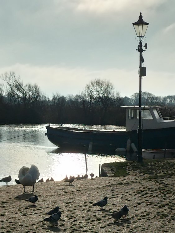 Calming riverside scene at Christchurch quay