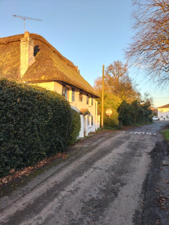 Quintessential and lovely English thatched cottage near Christchurch