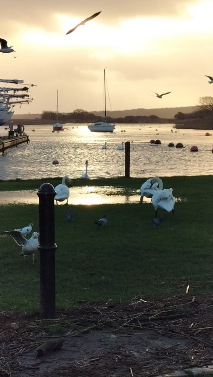 Fantastic morning sky over Christchurch Harbour from Town Quay