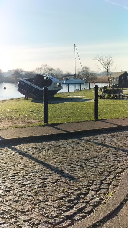 Very peaceful riverside scene in Christchurch