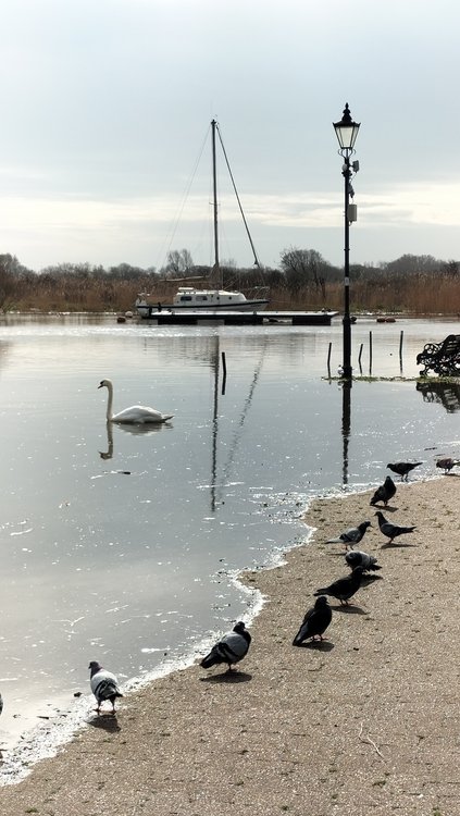 A flooded quayside in Christchurch