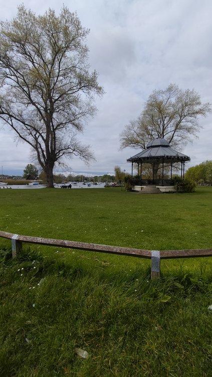 The scenic and wonderful Town Quay in Christchurch