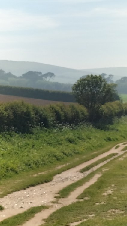 Countryside near Swanage