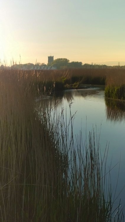 Watery scene near Christchurch