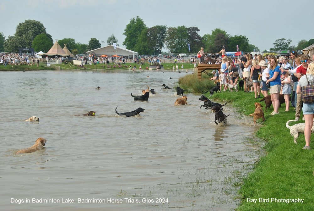 Badminton Horse Trials, Gloucestershire 2024