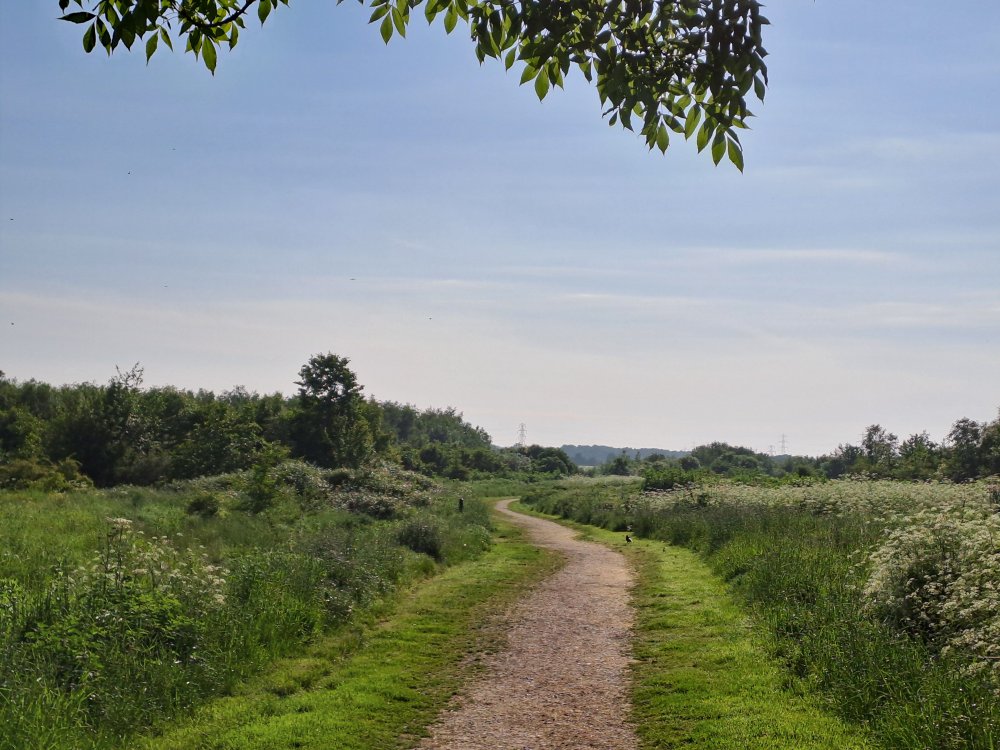 Photograph of Rabbit Ings Country Park