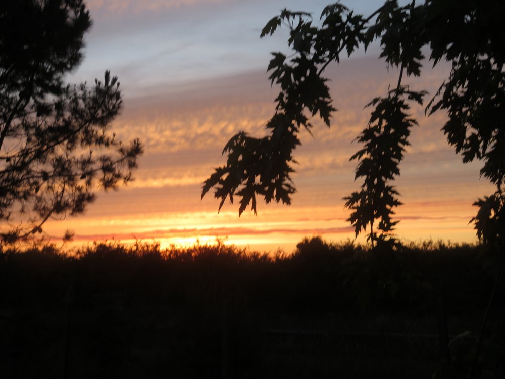 Great sunset over Christchurch