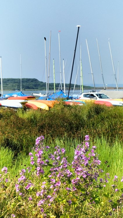 Lovely scene of Christchurch harbour from Mudeford Quay