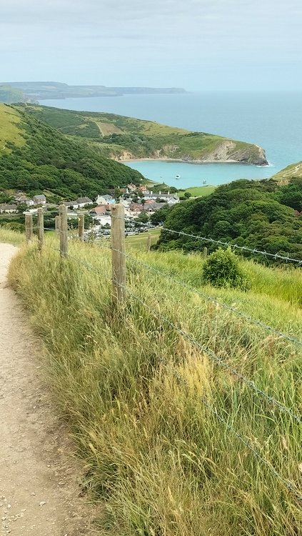 Looking down to Lulworth Cove from the path to Durdle Door