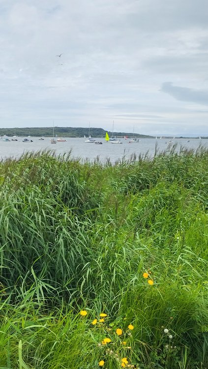 Watery scene at Mudeford Quay near Christchurch