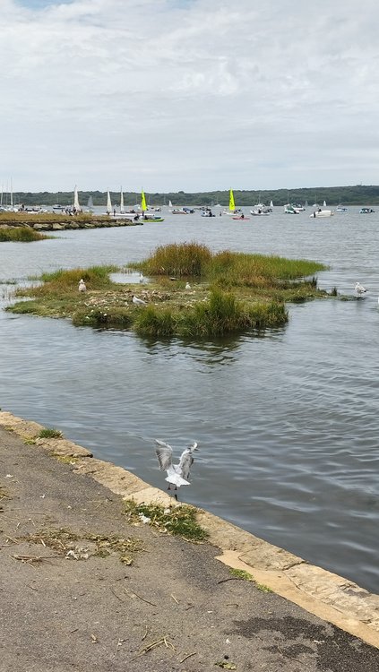 Pleasant afternoon scene at Mudeford Quay near Christchurch