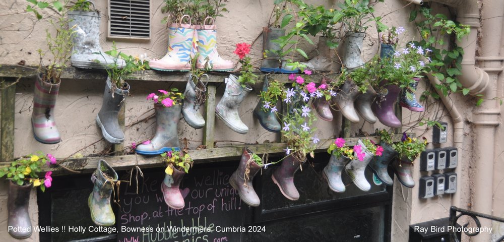 Potted Wellies !! Holly Cottage, Bowness on Windermere, Cumbria 2024