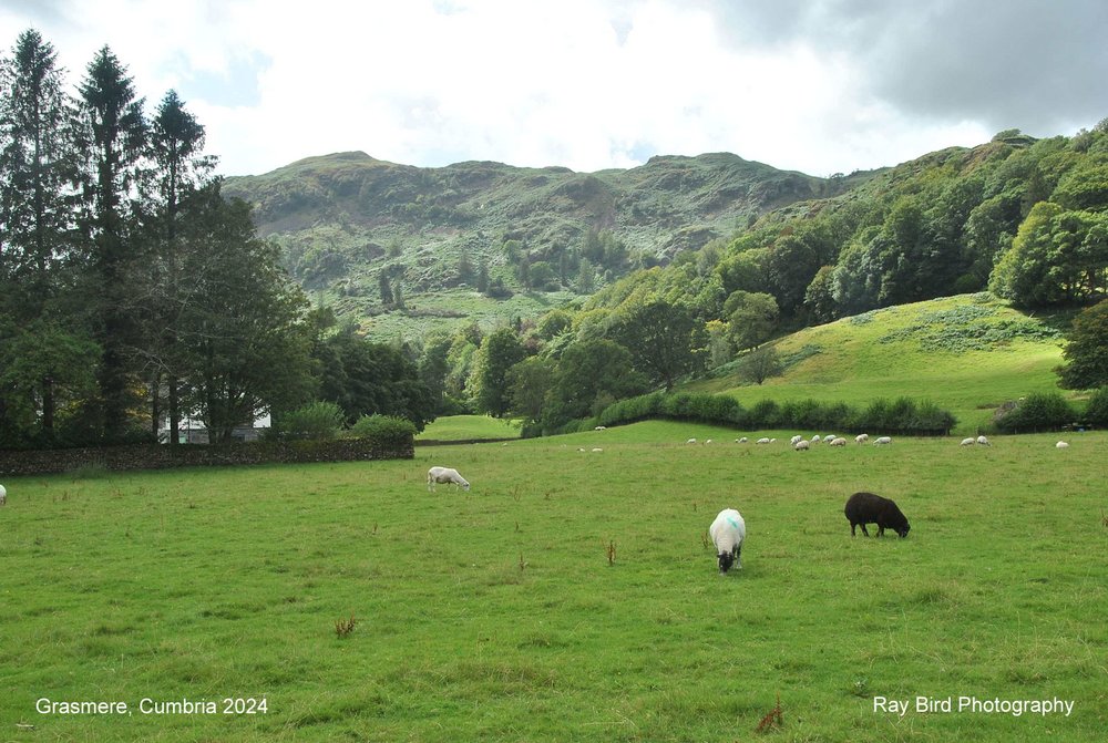 Grasmere, Cumbria 2024