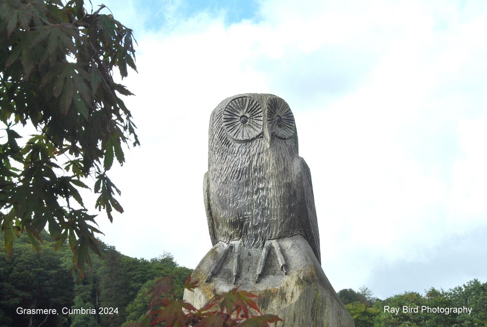 Carved Owl, Grasmere, Cumbria 2024