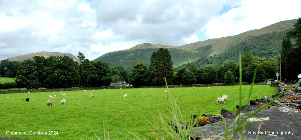 Grasmere, Cumbria 2024