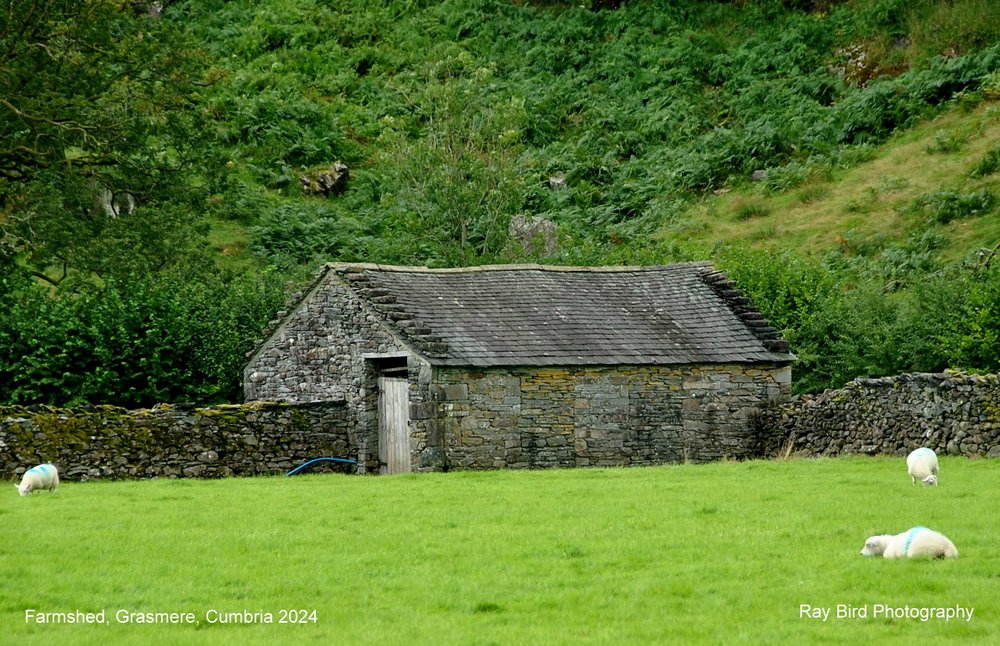 Old Farmshed, Grasmere, Cumbria 2024