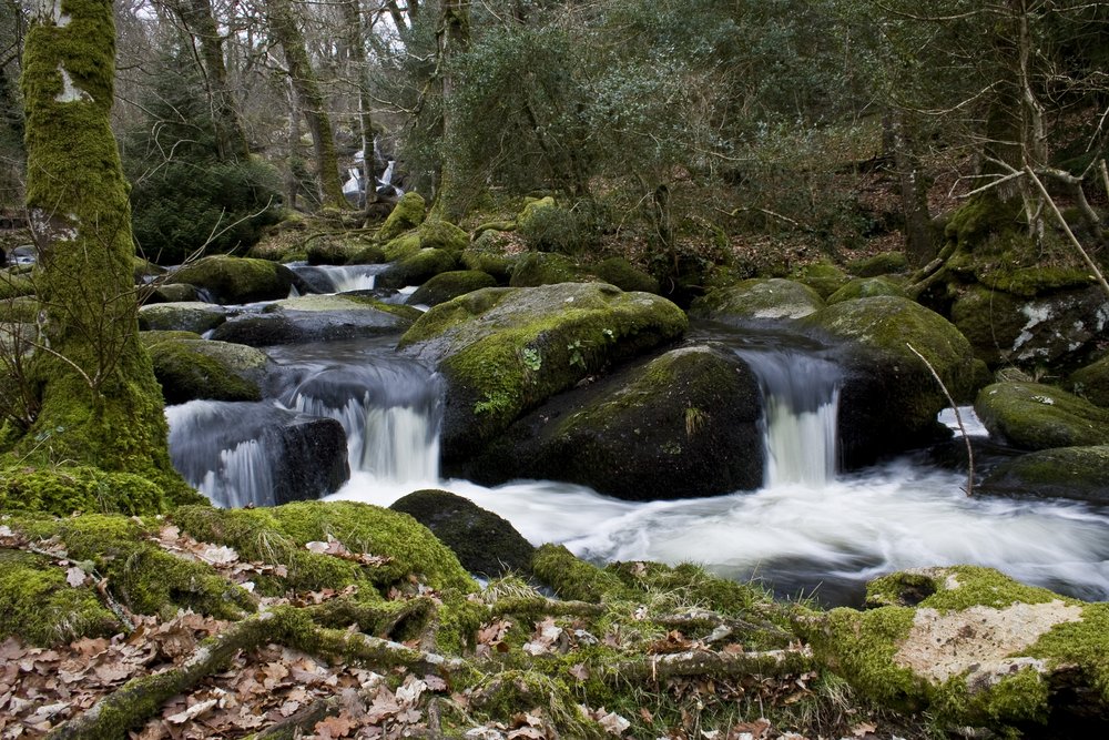 Dartmoor