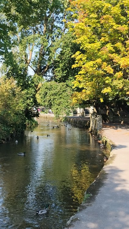 Looking towards the bridge over the river from Convent Walk in Christchurch