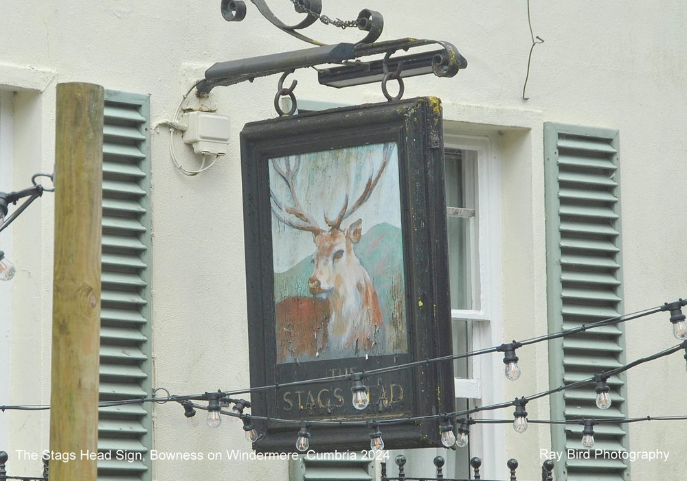 Stags Head Inn Sign,  Bowness on Windermere, Cumbria 2024