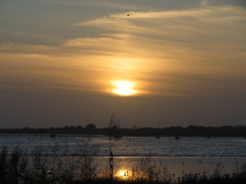 Beautiful bronzy sunset over Christchurch harbour from Mudeford Quay