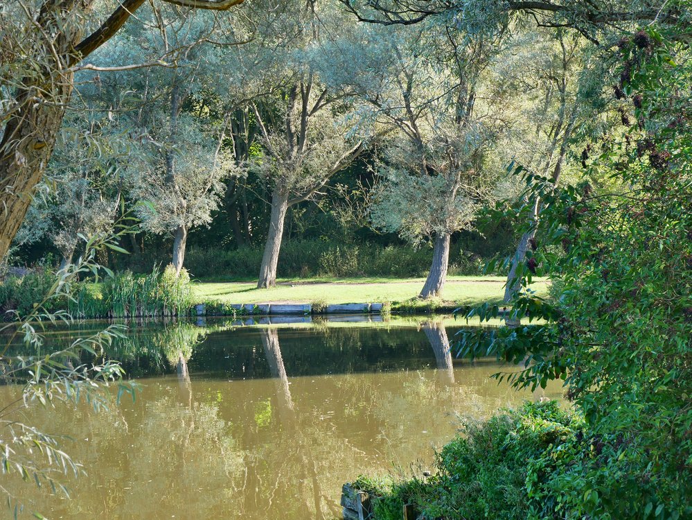 Dearne Valley Park