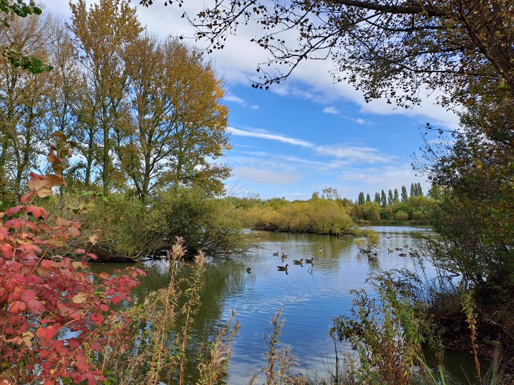 Ferrymoor Flash Nature Reserve