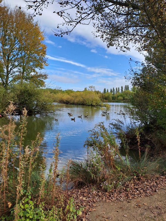 Ferrymoor Flash Nature Reserve